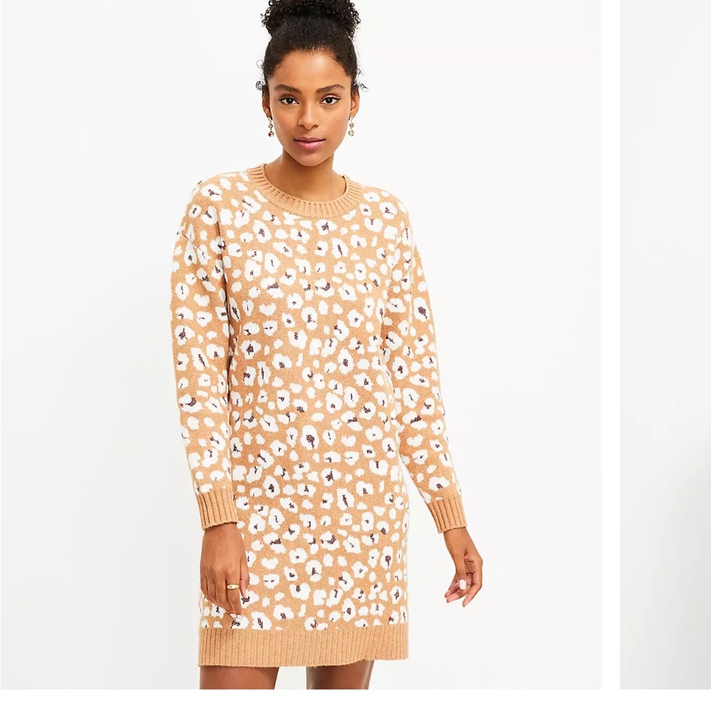 Animal Print Sweater Dress